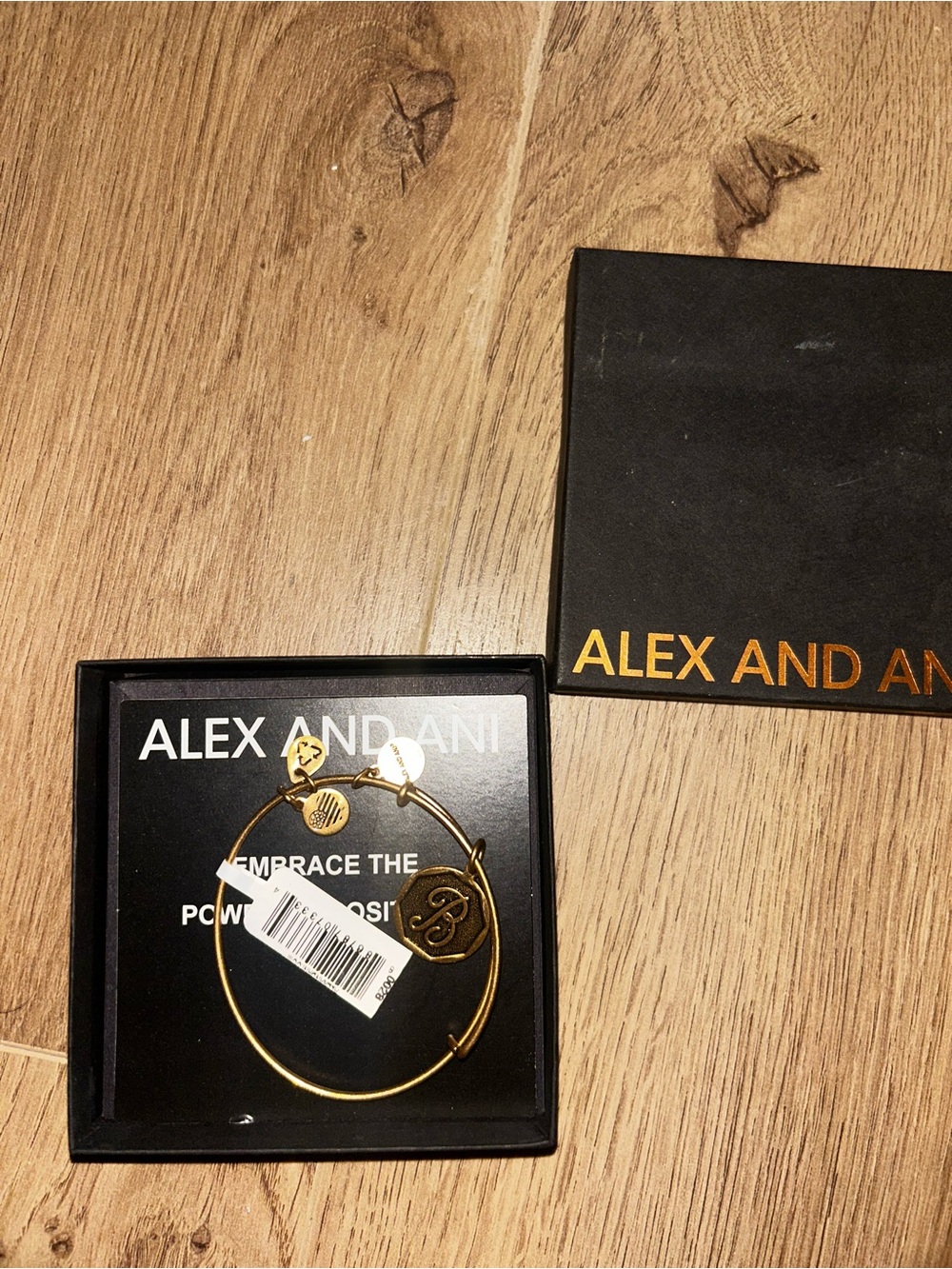 Alex and Ani Gold Initial Charm Bangle - Monogram 'B'